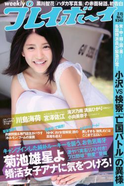 草原雄鹰